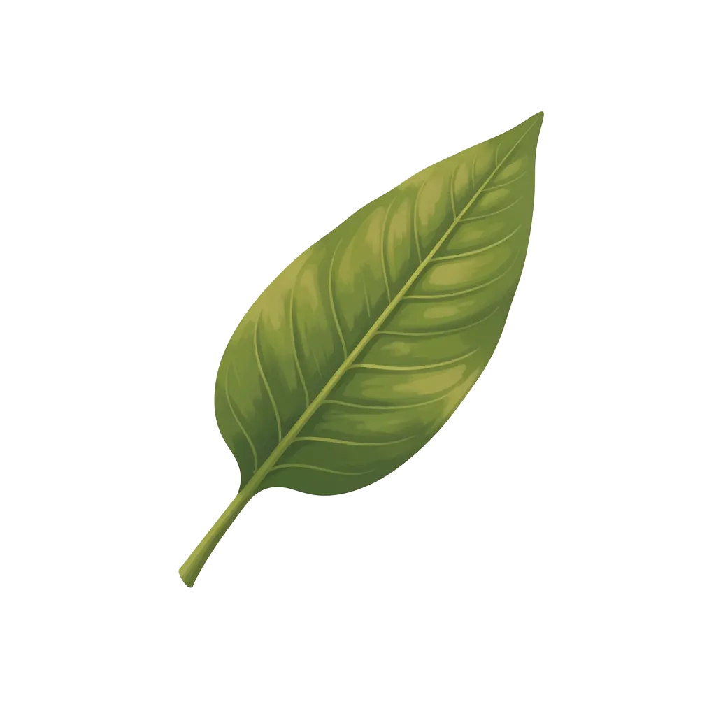 Citronella