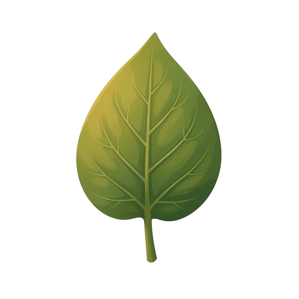 Green Leaves