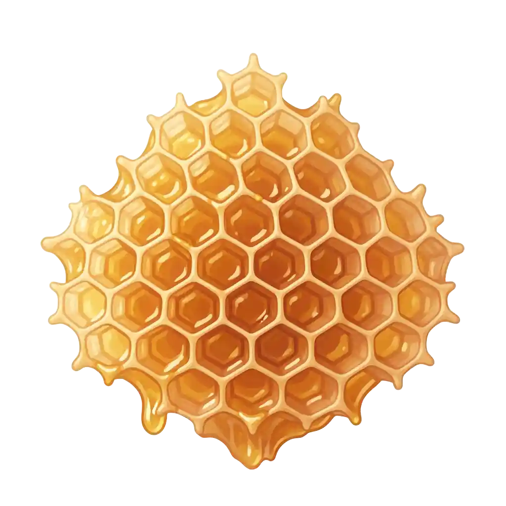 Honeycomb