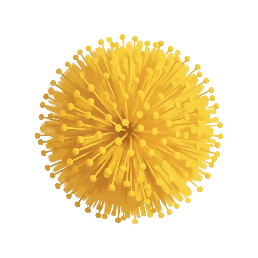 Mimosa Absolute