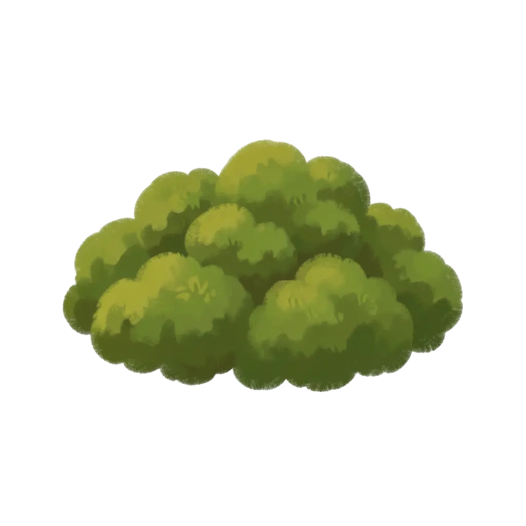 Moss