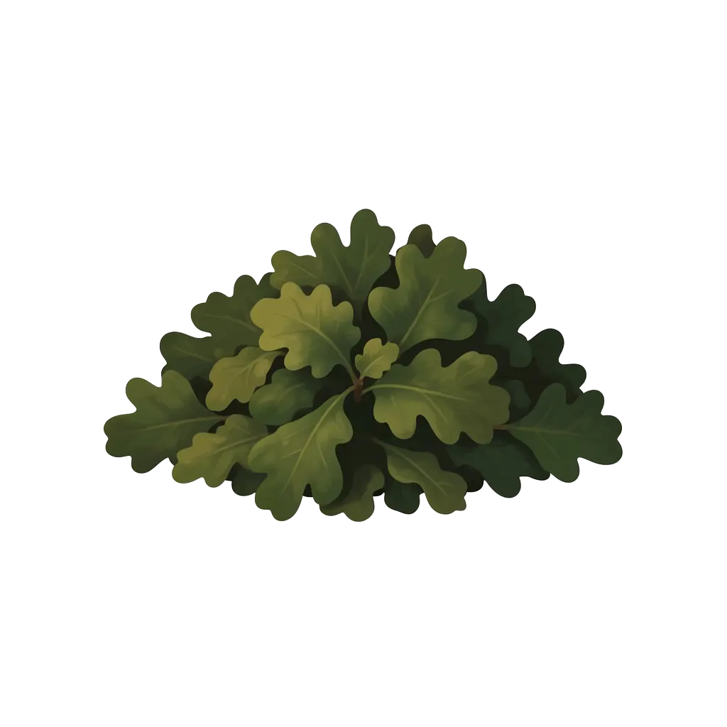 Oakmoss Absolute