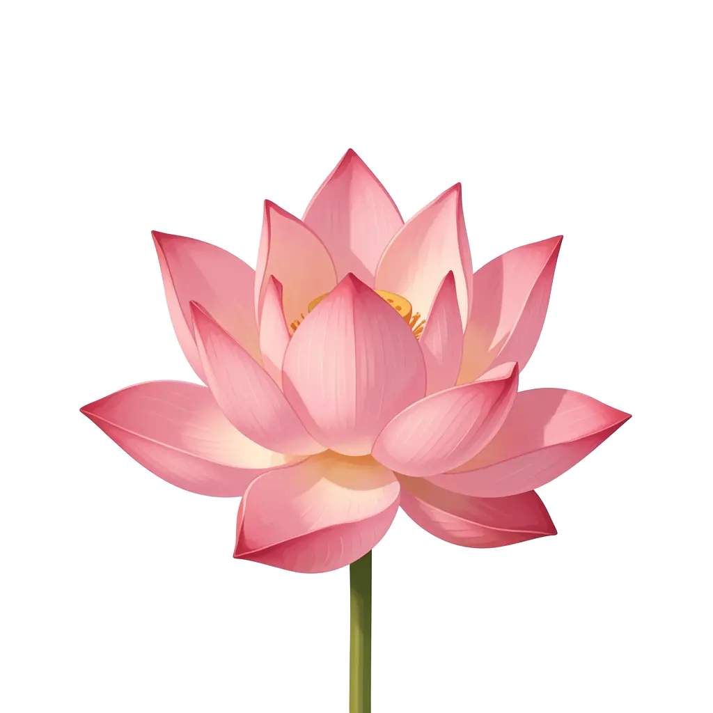 Pink Lotus