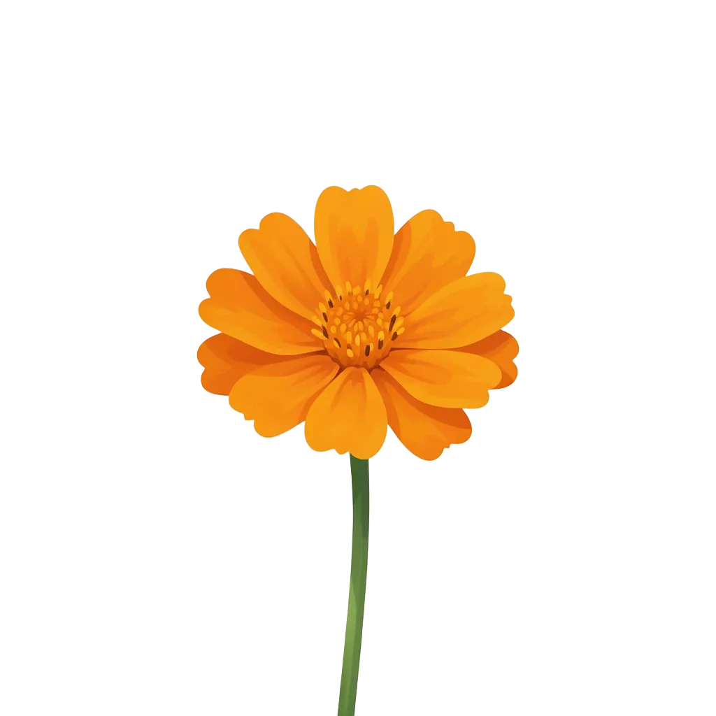 Tagetes
