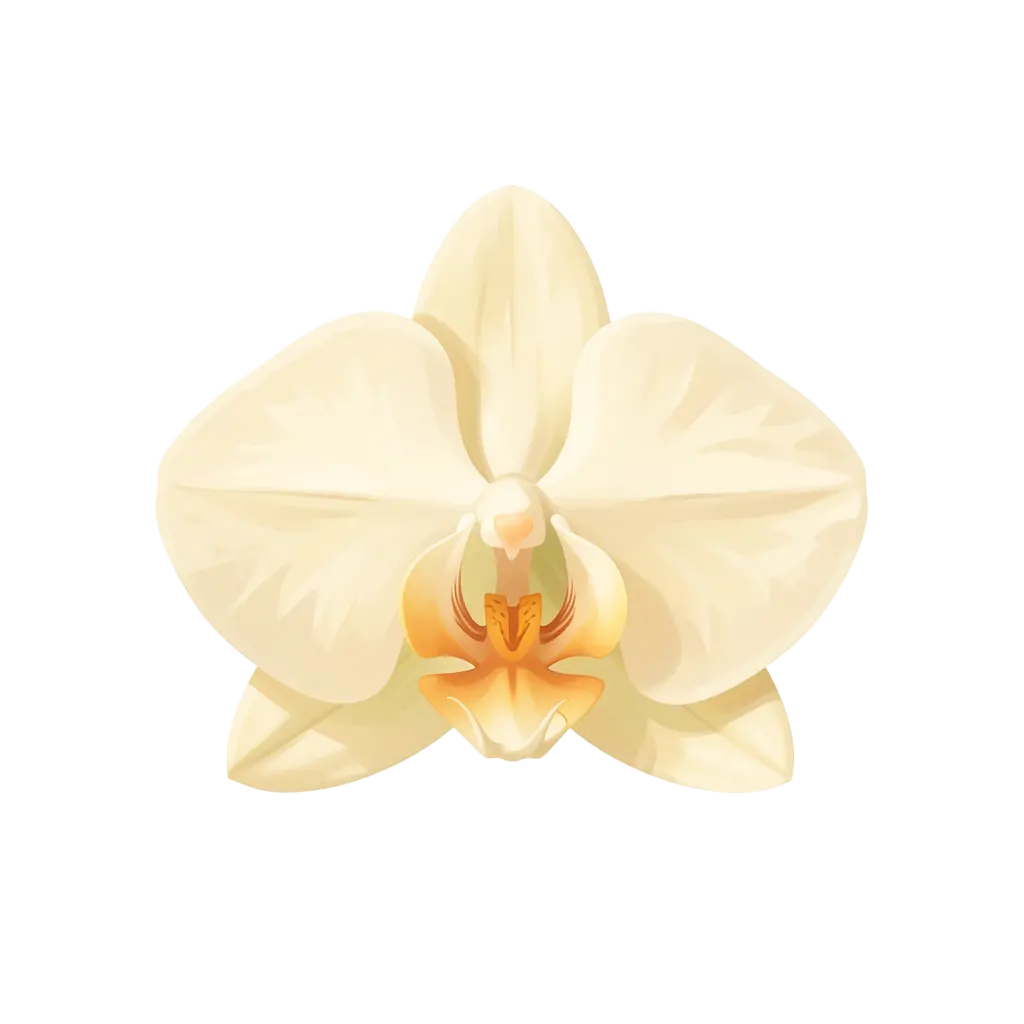 Vanilla Flower