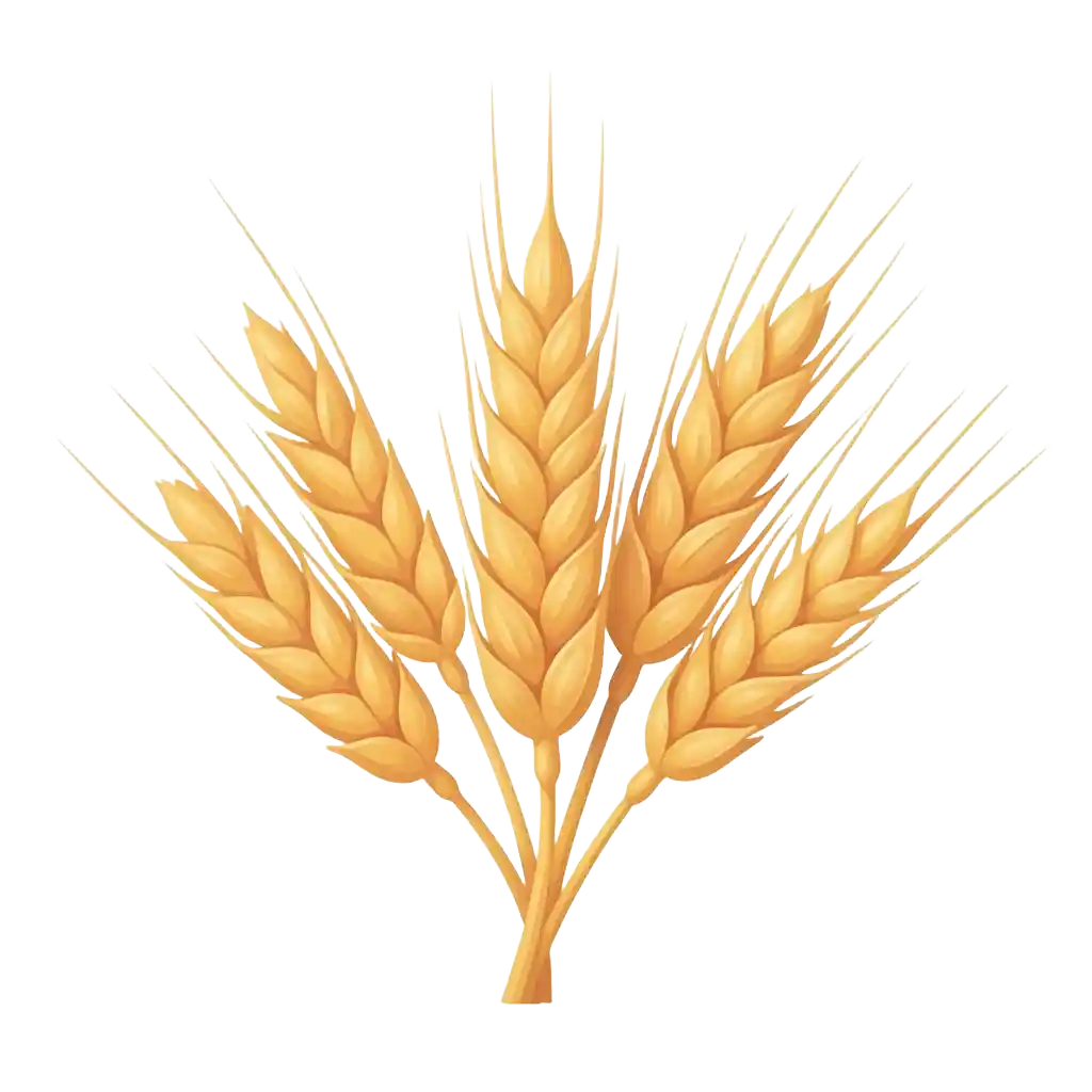 Wheat