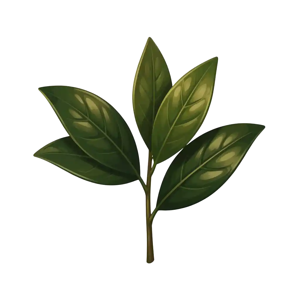 Wintergreen